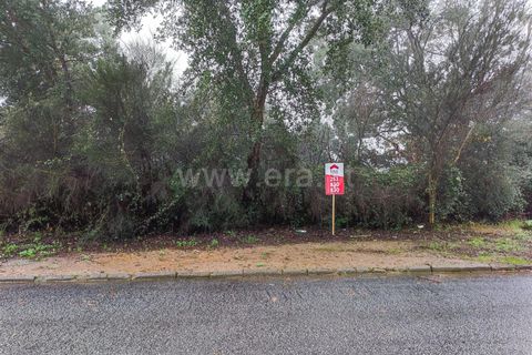 Helårsgrund i Barcelos, Braga, Barcelos - € 90.000 | Ref: 254260450 - foto 3