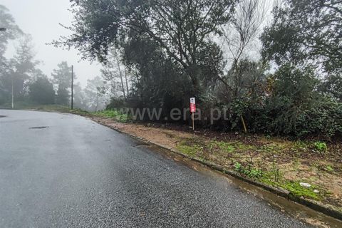 Helårsgrund i Barcelos, Braga, Barcelos - € 90.000 | Ref: 254260450 - foto 4