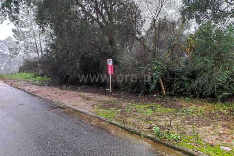 Helårsgrund i Barcelos, Braga, Barcelos - € 90.000 | Ref: 254260450 - foto 5