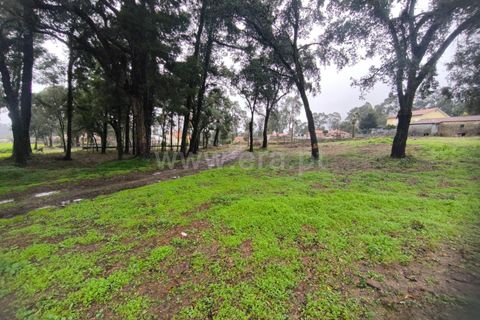 Helårsgrund i Barcelos, Braga, Barcelos - € 400.000 | Ref: 254260643 - foto 2