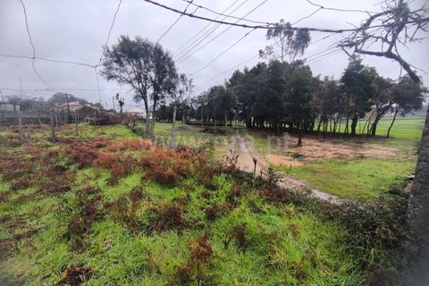 Helårsgrund i Barcelos, Braga, Barcelos - € 400.000 | Ref: 254260643 - foto 5