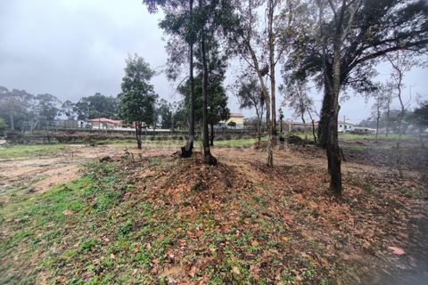 Helårsgrund i Barcelos, Braga, Barcelos - € 400.000 | Ref: 254260643 - foto 8