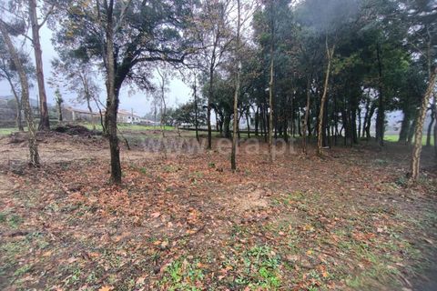 Helårsgrund i Barcelos, Braga, Barcelos - € 400.000 | Ref: 254260643 - foto 11