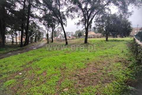Helårsgrund i Barcelos, Braga, Barcelos - € 400.000 | Ref: 254260643 - foto 13