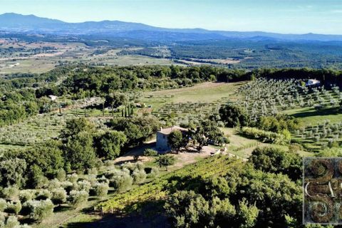 Villa i Roccastrada, Grosseto, Roccastrada - € 1.300.000 | Ref: v627525-x - foto 4