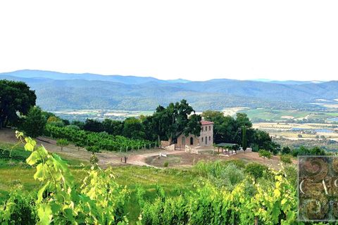 Villa i Roccastrada, Grosseto, Roccastrada - € 1.300.000 | Ref: v627525-x - foto 8