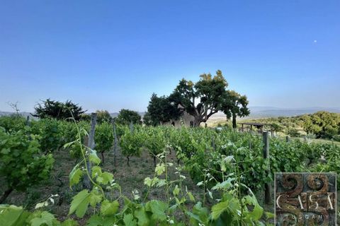 Villa i Roccastrada, Grosseto, Roccastrada - € 1.300.000 | Ref: v627525-x - foto 36