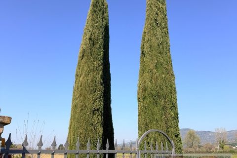 Villa i Cortona, Arezzo, Cortona - € 1.695.000 | Ref: v62772-x - foto 5