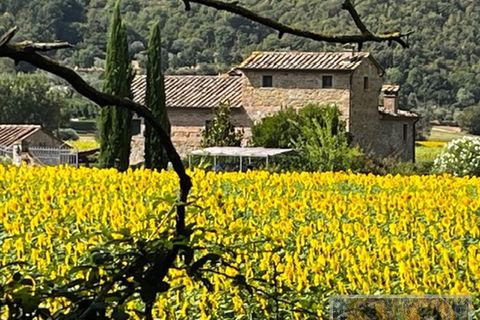 Villa i Cortona, Arezzo, Cortona - € 1.695.000 | Ref: v62772-x - foto 42