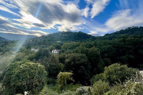 Terra a Saint-Blaise, Alpes-Maritimes, Saint-Blaise - € 210.000 | Ref: 86665559 - foto 3