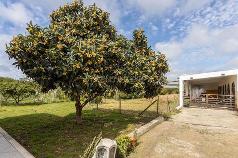 Farm hus i Seixal, Setubal, Seixal - € 775.000 | Ref: C0451-00234 - foto 32