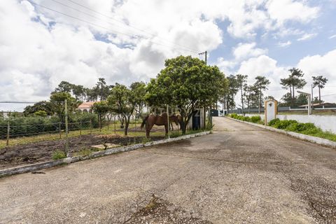 Farm hus i Seixal, Setubal, Seixal - € 775.000 | Ref: C0451-00234 - foto 43