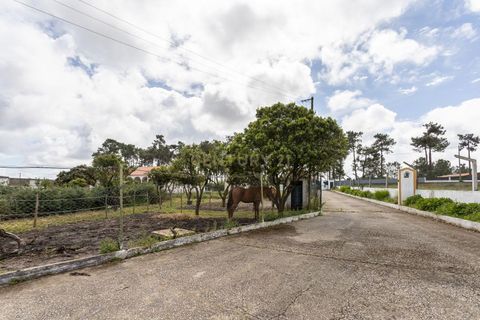 Farm hus i Seixal, Setubal, Seixal - € 775.000 | Ref: C0451-00234 - foto 49