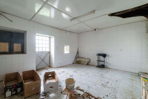 Villa i Grijo, Porto, Grijo - € 499.000 | Ref: C0406-02557 - foto 17