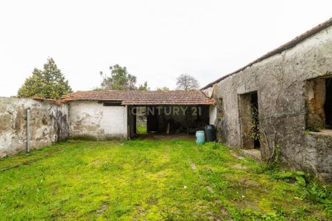 Villa i Grijo, Porto, Grijo - € 499.000 | Ref: C0406-02557 - foto 21