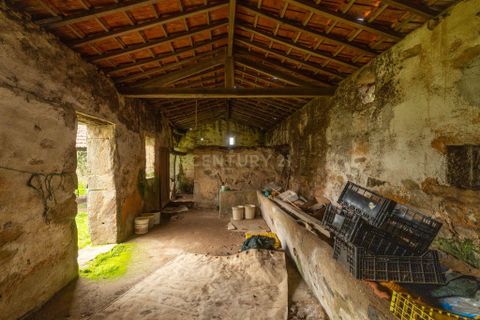 Villa i Grijo, Porto, Grijo - € 499.000 | Ref: C0406-02557 - foto 25