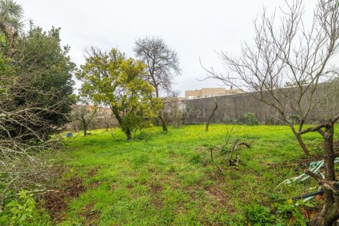 Villa i Grijo, Porto, Grijo - € 499.000 | Ref: C0406-02557 - foto 27