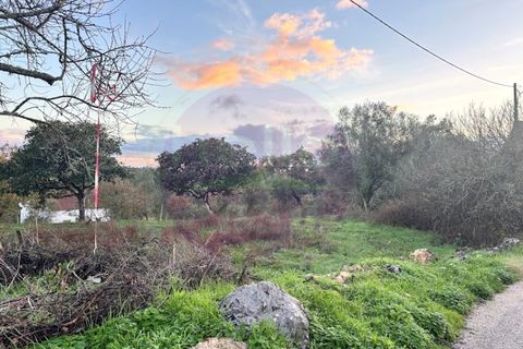 Masia a Tomar, Santarem, Tomar - € 60.000 | Ref: CH 392 - foto 4