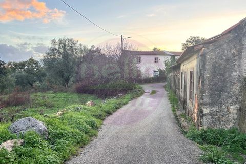 Masia a Tomar, Santarem, Tomar - € 60.000 | Ref: CH 392 - foto 5