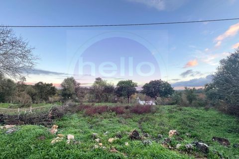 Masia a Tomar, Santarem, Tomar - € 60.000 | Ref: CH 392 - foto 7