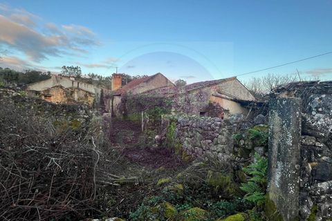 Masia a Tomar, Santarem, Tomar - € 60.000 | Ref: CH 392 - foto 8