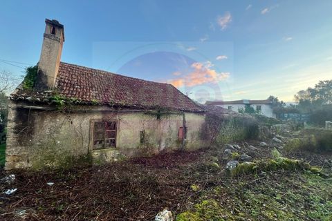 Masia a Tomar, Santarem, Tomar - € 60.000 | Ref: CH 392 - foto 9