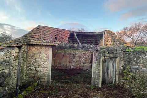 Masia a Tomar, Santarem, Tomar - € 60.000 | Ref: CH 392 - foto 12