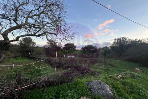 Masia a Tomar, Santarem, Tomar - € 60.000 | Ref: CH 392 - foto 25
