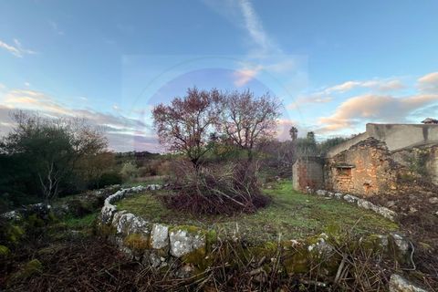 Masia a Tomar, Santarem, Tomar - € 60.000 | Ref: CH 392 - foto 29