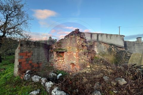 Masia a Tomar, Santarem, Tomar - € 60.000 | Ref: CH 392 - foto 30