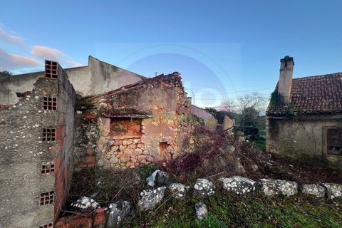 Masia a Tomar, Santarem, Tomar - € 60.000 | Ref: CH 392 - foto 37