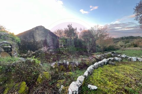 Masia a Tomar, Santarem, Tomar - € 60.000 | Ref: CH 392 - foto 50