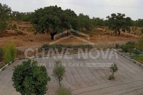 Byhus i Alcanena, Santarem, Alcanena - € 850.000 | Ref: PRTBV/00785 - foto 4