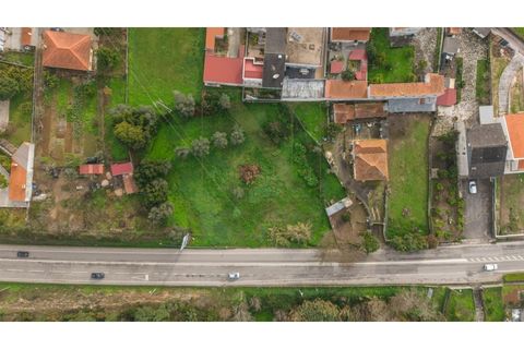 Helårsgrund i Condeixa-a-Nova, Coimbra, Condeixa-a-Nova - € 155.000 | Ref: NP3607 - foto 2