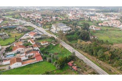 Helårsgrund i Condeixa-a-Nova, Coimbra, Condeixa-a-Nova - € 155.000 | Ref: NP3607 - foto 13