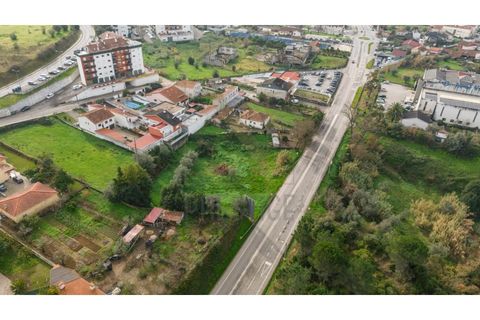 Helårsgrund i Condeixa-a-Nova, Coimbra, Condeixa-a-Nova - € 155.000 | Ref: NP3607 - foto 15