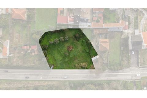 Helårsgrund i Condeixa-a-Nova, Coimbra, Condeixa-a-Nova - € 155.000 | Ref: NP3607 - foto 19