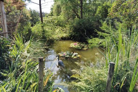 Villa i Lignol, Morbihan, Lignol - € 589.999 | Ref: 560022431 - foto 7