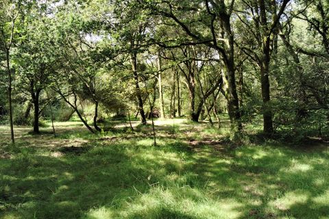 Villa i Lignol, Morbihan, Lignol - € 589.999 | Ref: 560022431 - foto 12
