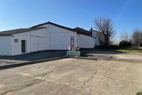 Villa i Codevigo, Padua, Codevigo - € 189.000 | Ref: D422 - foto 4