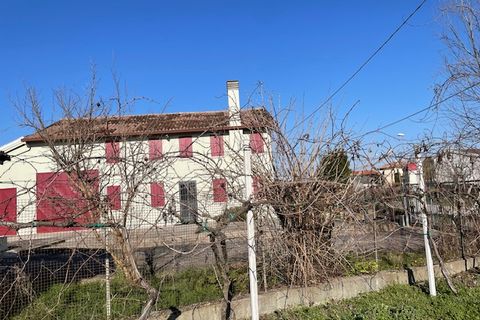 Villa i Codevigo, Padua, Codevigo - € 189.000 | Ref: D422 - foto 5