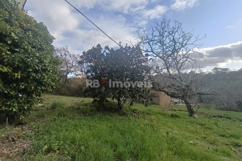Villa i Tomar, Santarem, Tomar - € 145.000 | Ref: 01864-26 - foto 33
