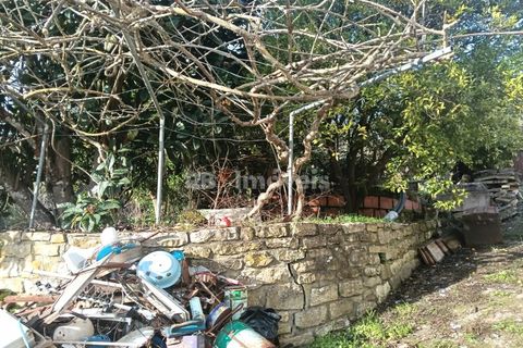 Villa i Tomar, Santarem, Tomar - € 145.000 | Ref: 01864-26 - foto 35