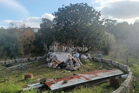 Villa i Tomar, Santarem, Tomar - € 145.000 | Ref: 01864-26 - foto 36