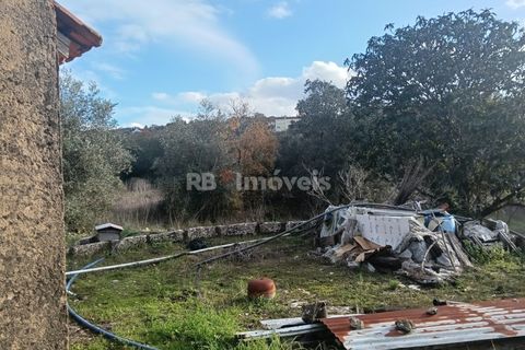 Villa i Tomar, Santarem, Tomar - € 145.000 | Ref: 01864-26 - foto 37