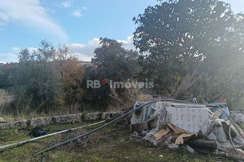 Villa i Tomar, Santarem, Tomar - € 145.000 | Ref: 01864-26 - foto 38