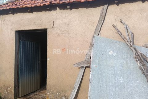 Villa i Tomar, Santarem, Tomar - € 145.000 | Ref: 01864-26 - foto 41