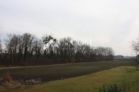 Villa i Erstein, Bas-Rhin, Erstein - € 269.800 | Ref: 110_V2120062909 - foto 5