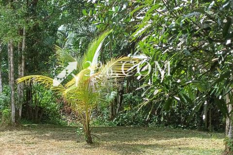 Terra a Matoury, French Guiana, Matoury - € 257.500 | Ref: 145_37121 - foto 3