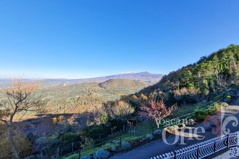 Villa i Cinigiano, Grosseto, Cinigiano - € 285.000 | Ref: 19310 - foto 39